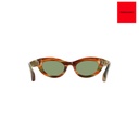ARMAZON SOL FERRAGAMO SF2062SE