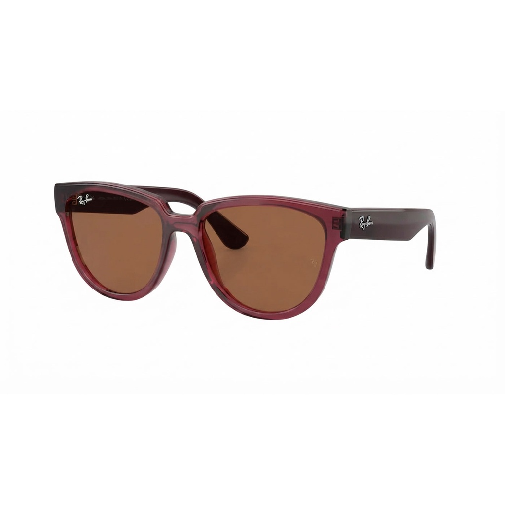ARMAZON SOL RAY BAN MOD. RB 4463L 659373 3N